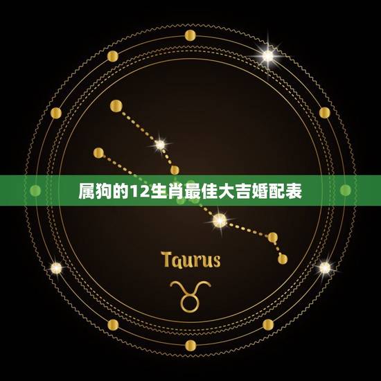 属狗的12生肖最佳大吉婚配表，属狗和什么属相最配 属狗的属相婚配表大全
