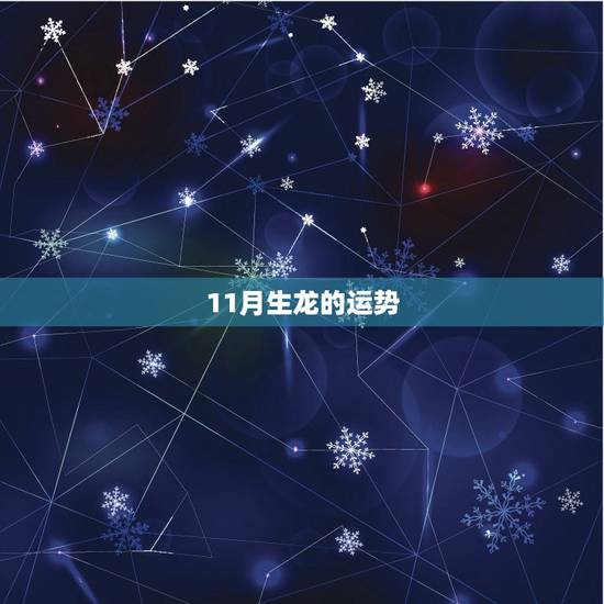 11月生龙的运势