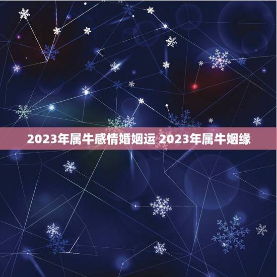 2023年属牛感情婚姻运 2023年属牛姻缘