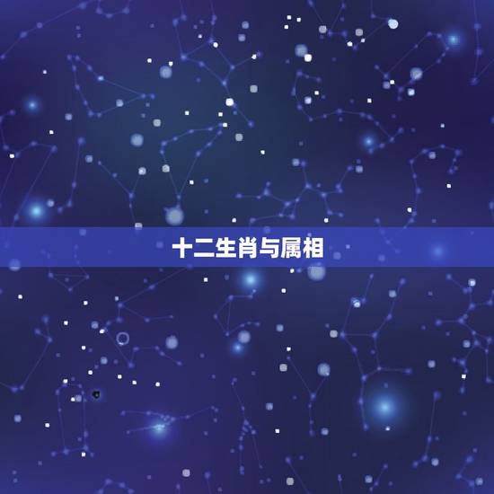 十二生肖与属相，十二生肖属相性格