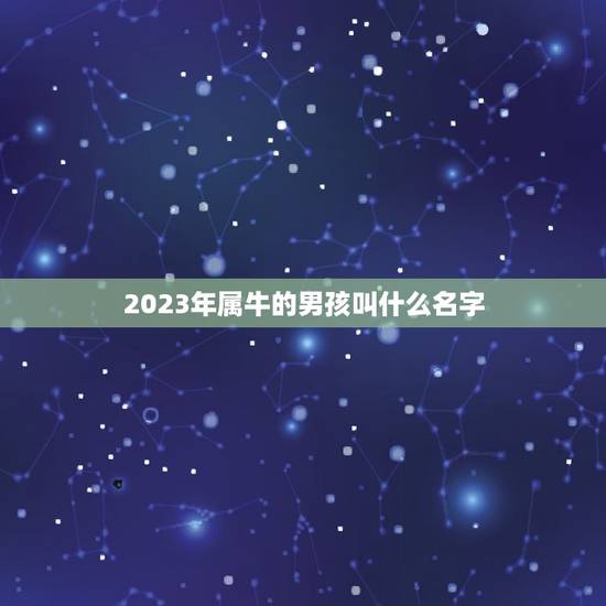 2023年属牛的男孩叫什么名字，给宝宝取名字2023年属牛男孩名字姓陈