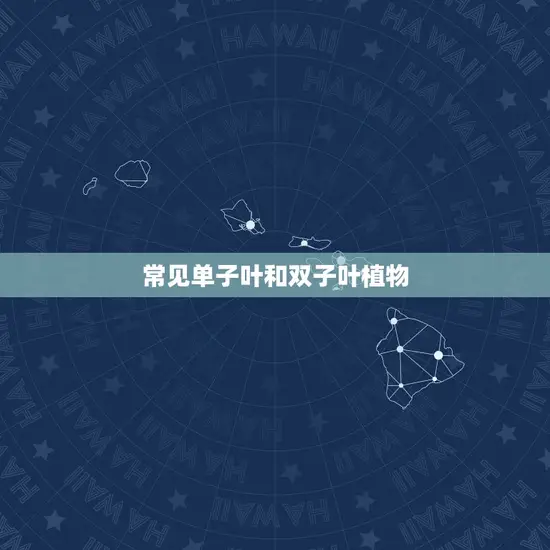 常见单子叶和双子叶植物
