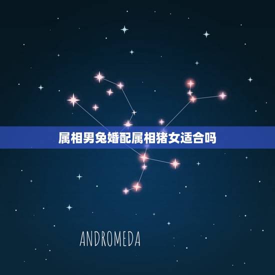 属相男兔婚配属相猪女适合吗，属相婚配：男属猪和女属猪相配吗