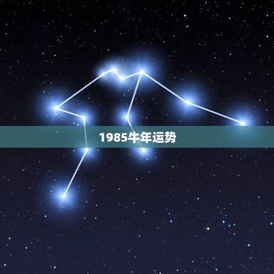 1985牛年运势,1985年出生女性的运势 1985牛年运势,1985年出生女性的运势