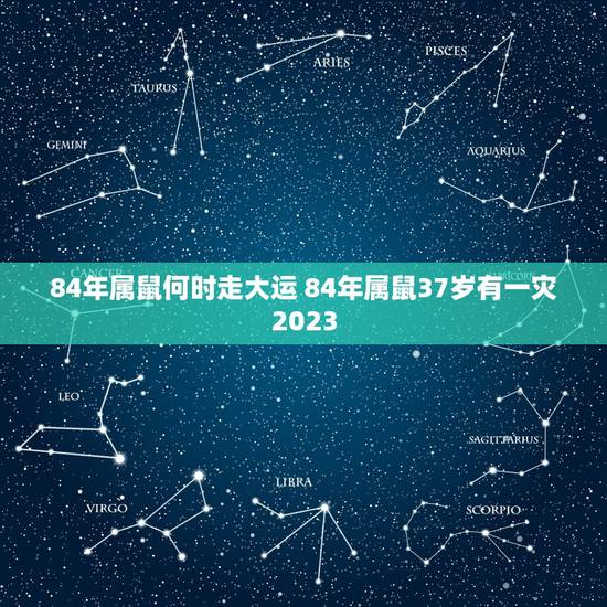 84年属鼠何时走大运 84年属鼠37岁有一灾2023