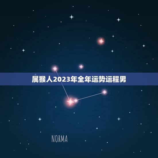 属猴人2023年全年运势运程男(幸运星高照财运亨通)