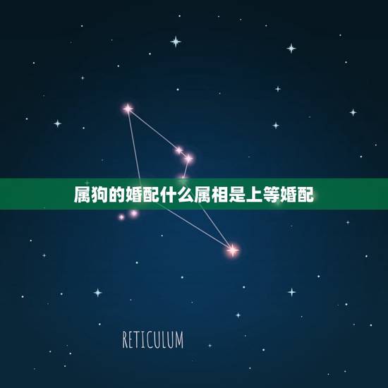 属狗的婚配什么属相是上等婚配，男属狗的和什么属相最配