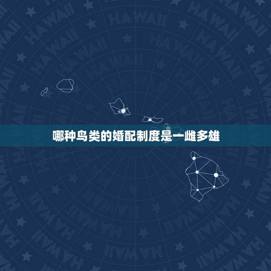 哪种鸟类的婚配制度是一雌多雄，一雄多雌制的性选择强还是一雌多雄制的性选
