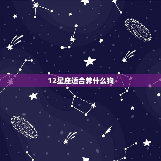 12星座适合养什么狗，12星座适合养的动物