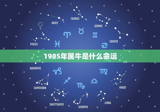 1985年属牛是什么命运，85年属牛五行什么命