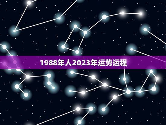 1988年人2023年运势运程