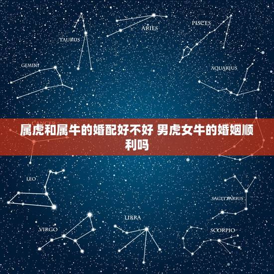 属虎和属牛的婚配好不好 男虎女牛的婚姻顺利吗
