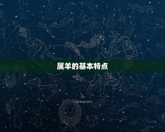 属羊的基本特点