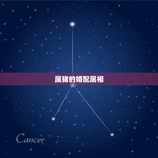 属猪的婚配属相,属猪的女人和什么属相最配 属猪的婚配属相,属猪的女人和什么属相最配