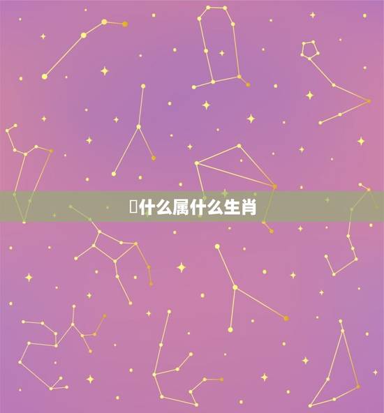 戉什么属什么生肖，2023什么年属什么生肖