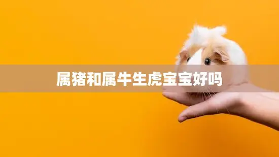 属猪和属牛生虎宝宝好吗(解析属相相生相克的影响)