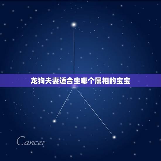 龙狗夫妻适合生哪个属相的宝宝，夫妻属龙，生什么属相好