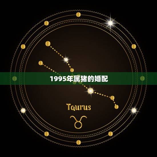 1995年属猪的婚配，1995年属猪和什么属相最好