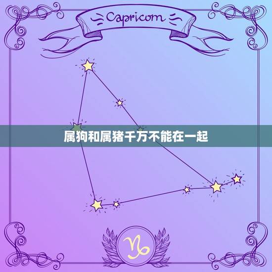 属狗和属猪千万不能在一起 83年猪39岁后十年大运运程