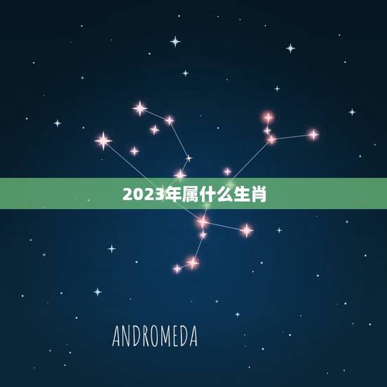 2023年属什么生肖,2023年至2030年是什么生肖年 2023年属什么生肖,2023年至2030年是什么生肖年