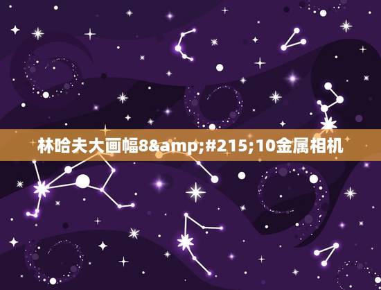 林哈夫大画幅8×10金属相机，星座810大画幅相机有那些