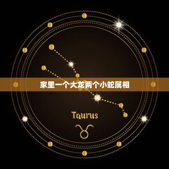 家里一个大龙两个小蛇属相，我属虎开小吃店请一个属大龙的婆婆可否？