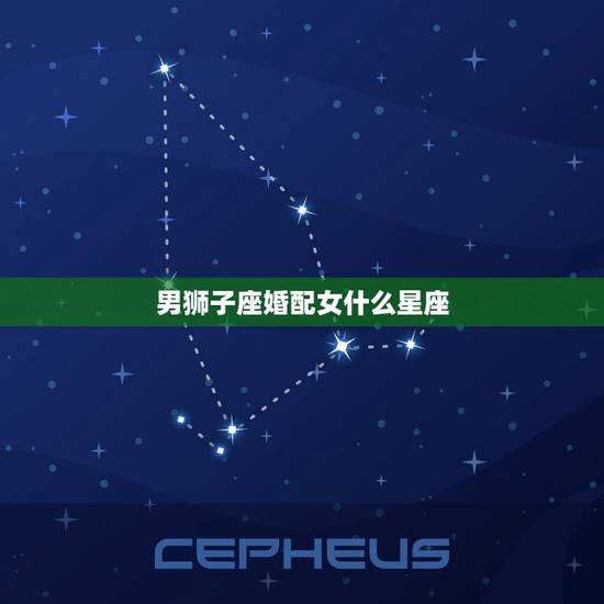 男狮子座婚配女什么星座，狮子座女生和什么星座的男生最配？