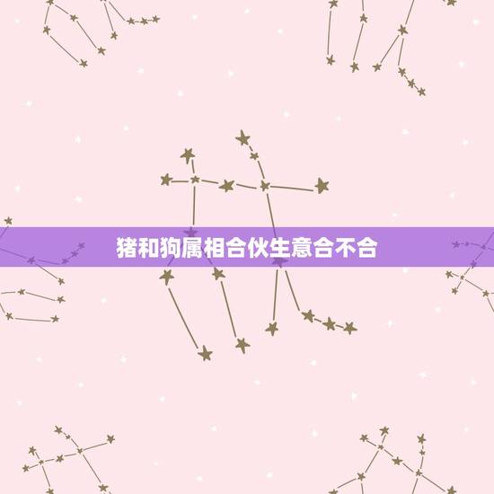 猪和狗属相合伙生意合不合，属猪的和属狗的是否合伙做生意