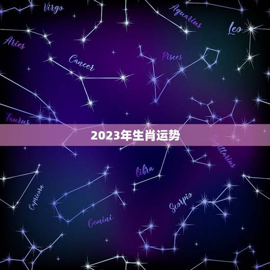 2023年生肖运势，2023十二生肖的全年运势