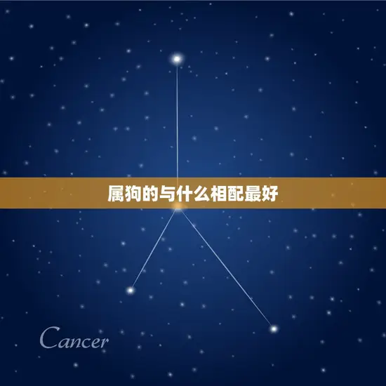 属狗的与什么相配最好