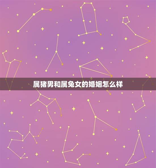 属猪男和属兔女的婚姻怎么样，属猪男和属兔女的婚姻怎么样