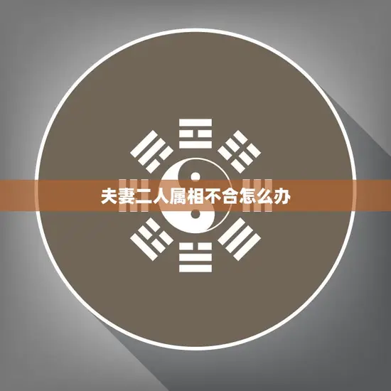 夫妻二人属相不合怎么办(解决方法大揭秘)