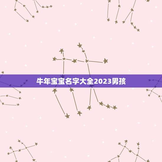 牛年宝宝名字大全2023男孩，2023男孩名字洋气