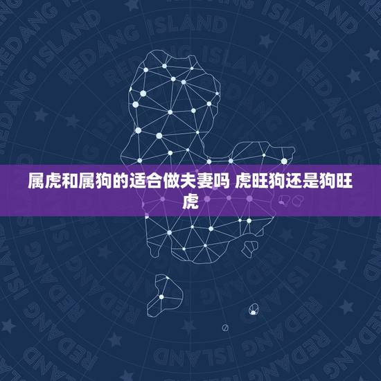 属虎和属狗的适合做夫妻吗 虎旺狗还是狗旺虎 属虎和属狗的适合做夫妻吗 虎旺狗还是狗旺虎