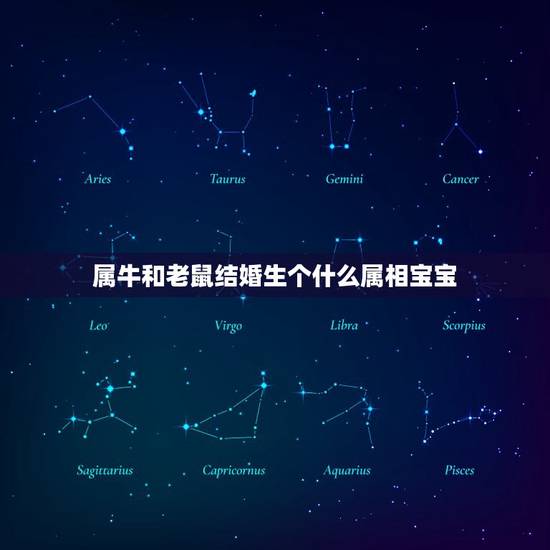 属牛和老鼠结婚生个什么属相宝宝，属牛和属鼠的孩子是什么属相最好