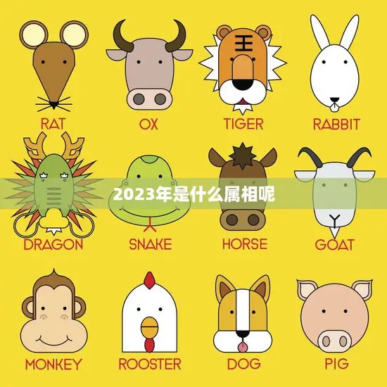 2023年是什么属相呢(探寻未来的生肖之路)