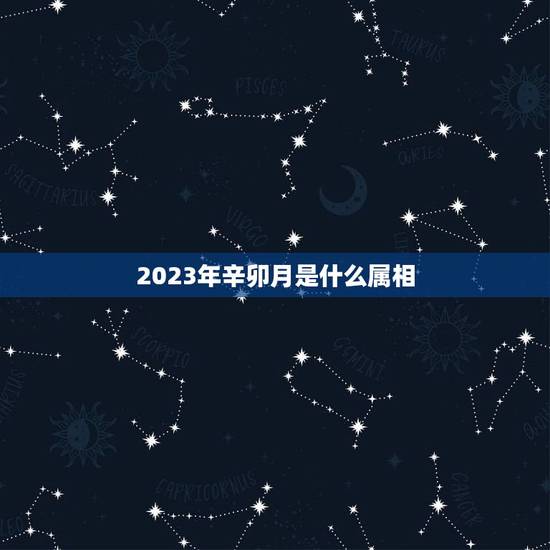 2023年辛卯月是什么属相，2023年正月二十四用干支历为什么是辛卯月