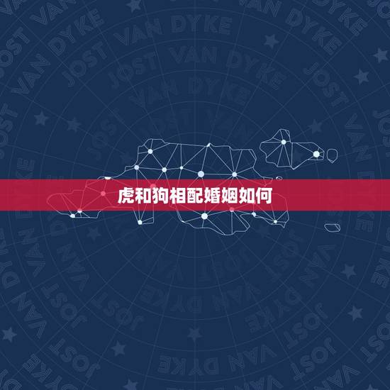 虎和狗相配婚姻如何，狗和老虎相配吗