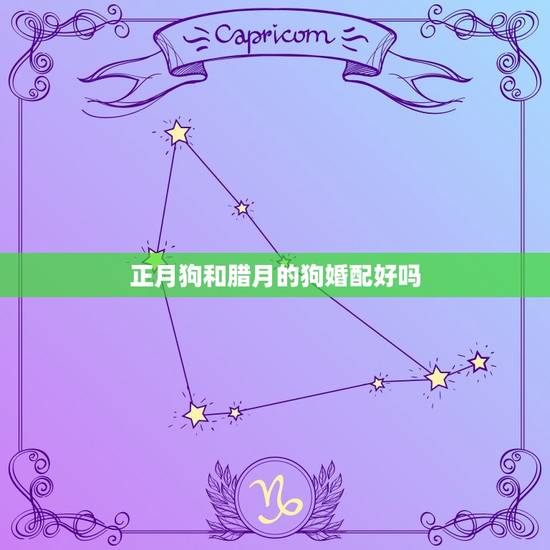 正月狗和腊月的狗婚配好吗，俗话说 正月的猪 腊月的狗指的是什么 好不好