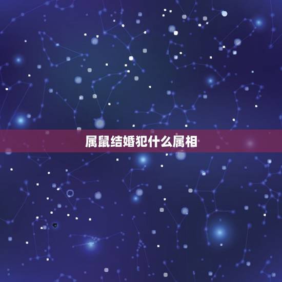 属鼠结婚犯什么属相，属鼠的配什么属相的婚姻好