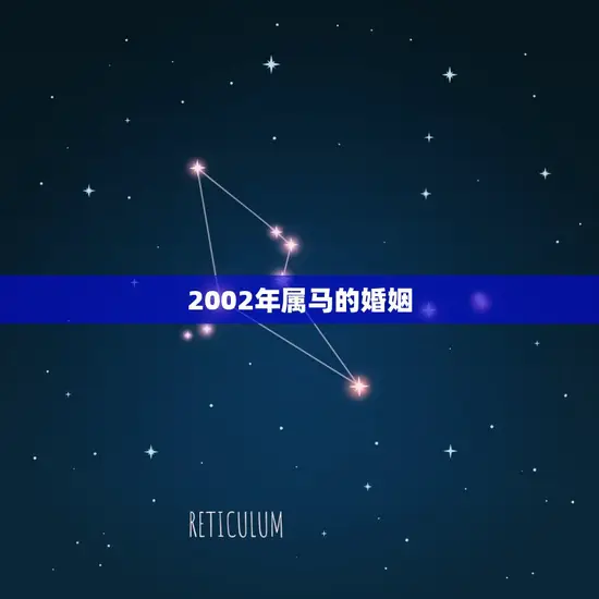 2002年属马的婚姻