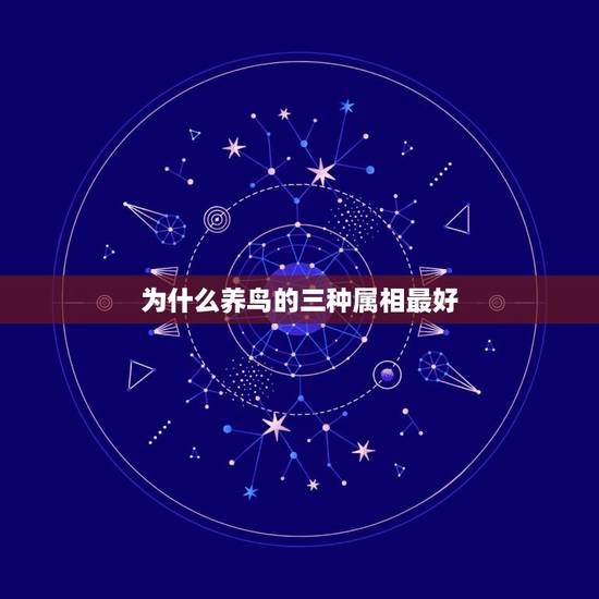 为什么养鸟的三种属相最好，属什么属相最好？