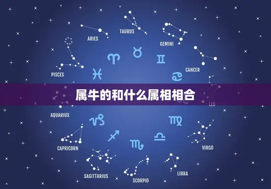属牛的和什么属相相合