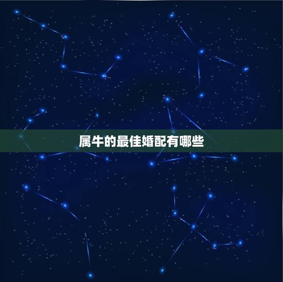 属牛的最佳婚配有哪些，属牛生肖配偶与谁最合适