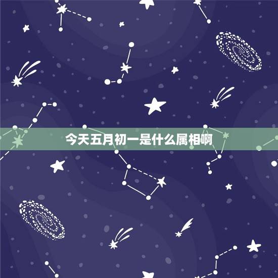 今天五月初一是什么属相啊，1979年农历五月初一什么属相