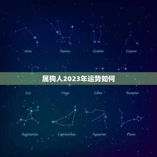 属狗人2023年运势如何，属狗的今年多大了2023