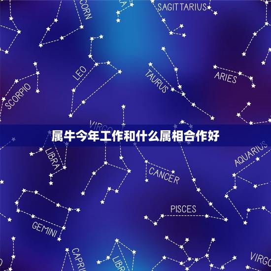 属牛今年工作和什么属相合作好，属鼠人和什么属相合作最好
