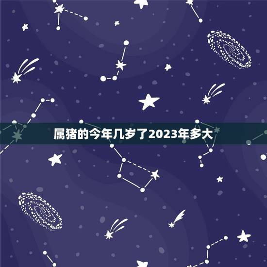 属猪的今年几岁了2023年多大(猪年生肖运势大介绍)