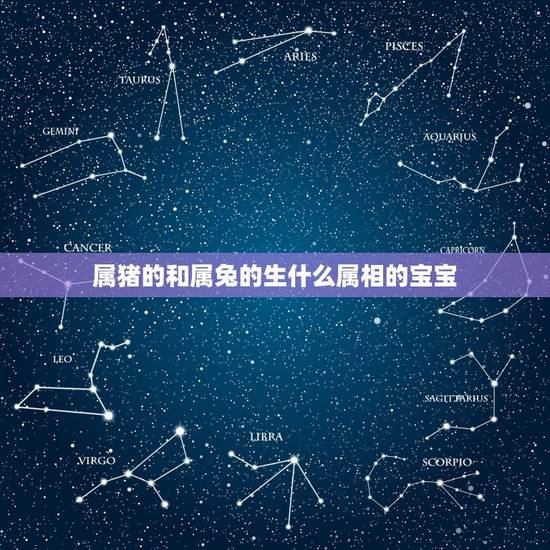 属猪的和属兔的生什么属相的宝宝，属龙的和属猪能相配吗