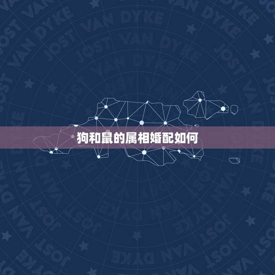 狗和鼠的属相婚配如何，生肖狗和生肖鼠相配吗